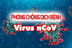 Túi gói hàng dutu