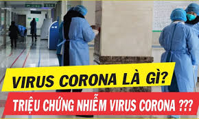 Túi gói hàng dutu