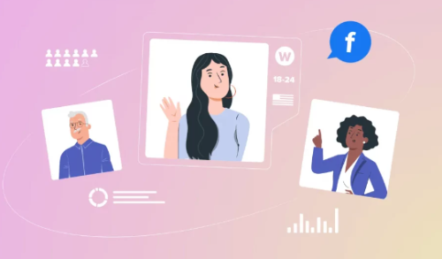 Audience Insights